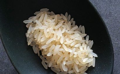 meilleurs cuiseurs a riz